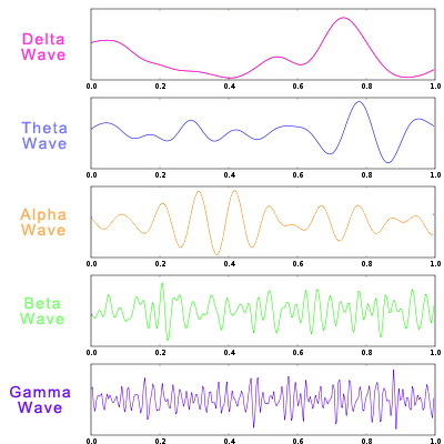 delta theta alpha beta gamma brain waves
