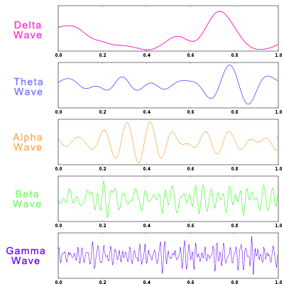 Different Types of Brain Waves Delta Theta Alpha Beta Gamma